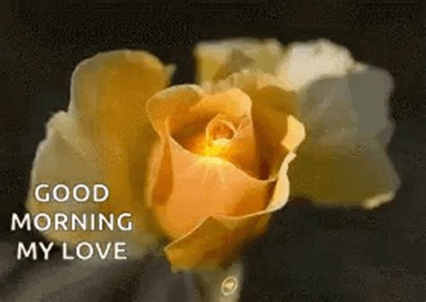 romantic good morning gif